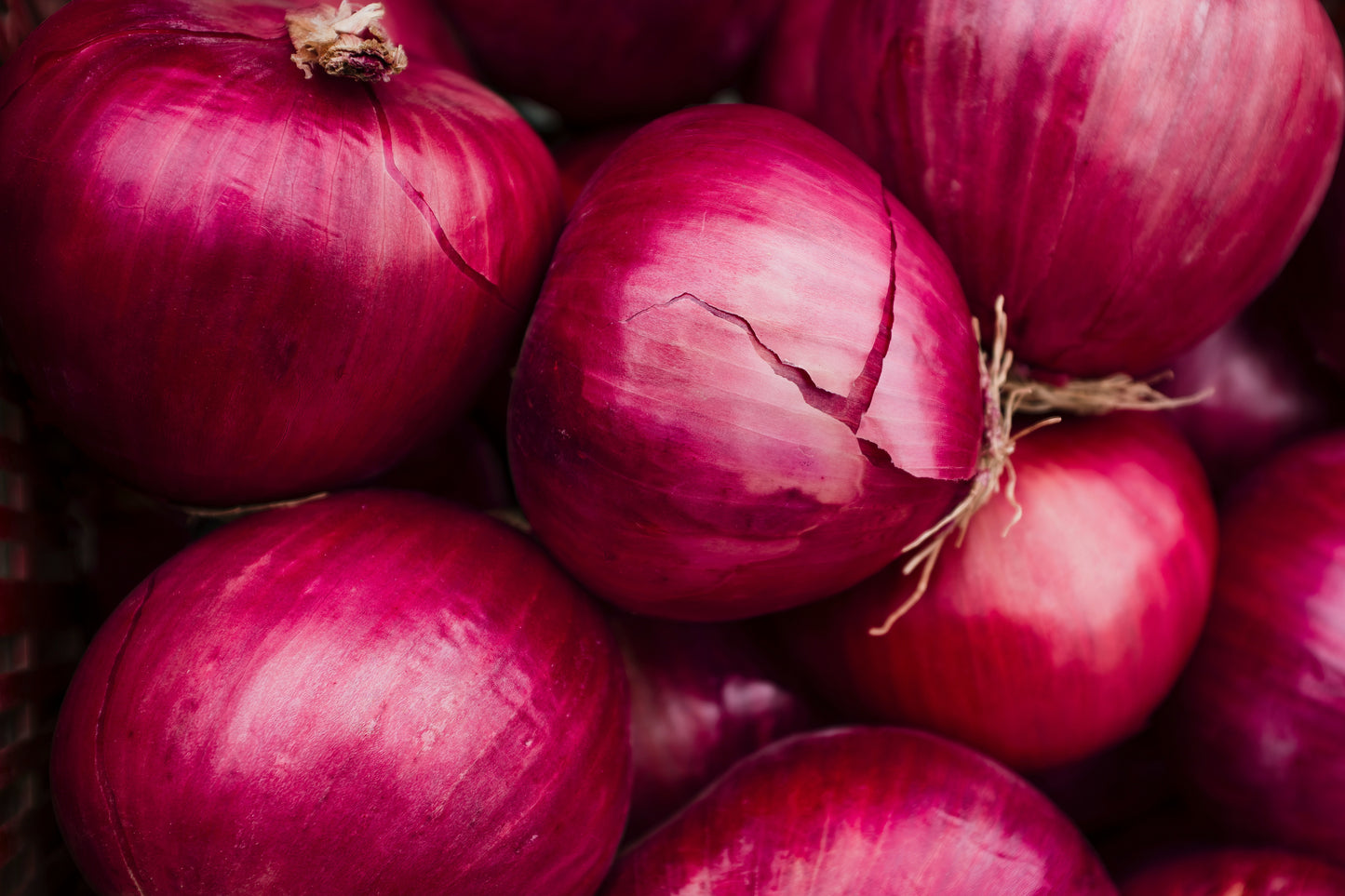 Onions (Red / Yellow / Green)