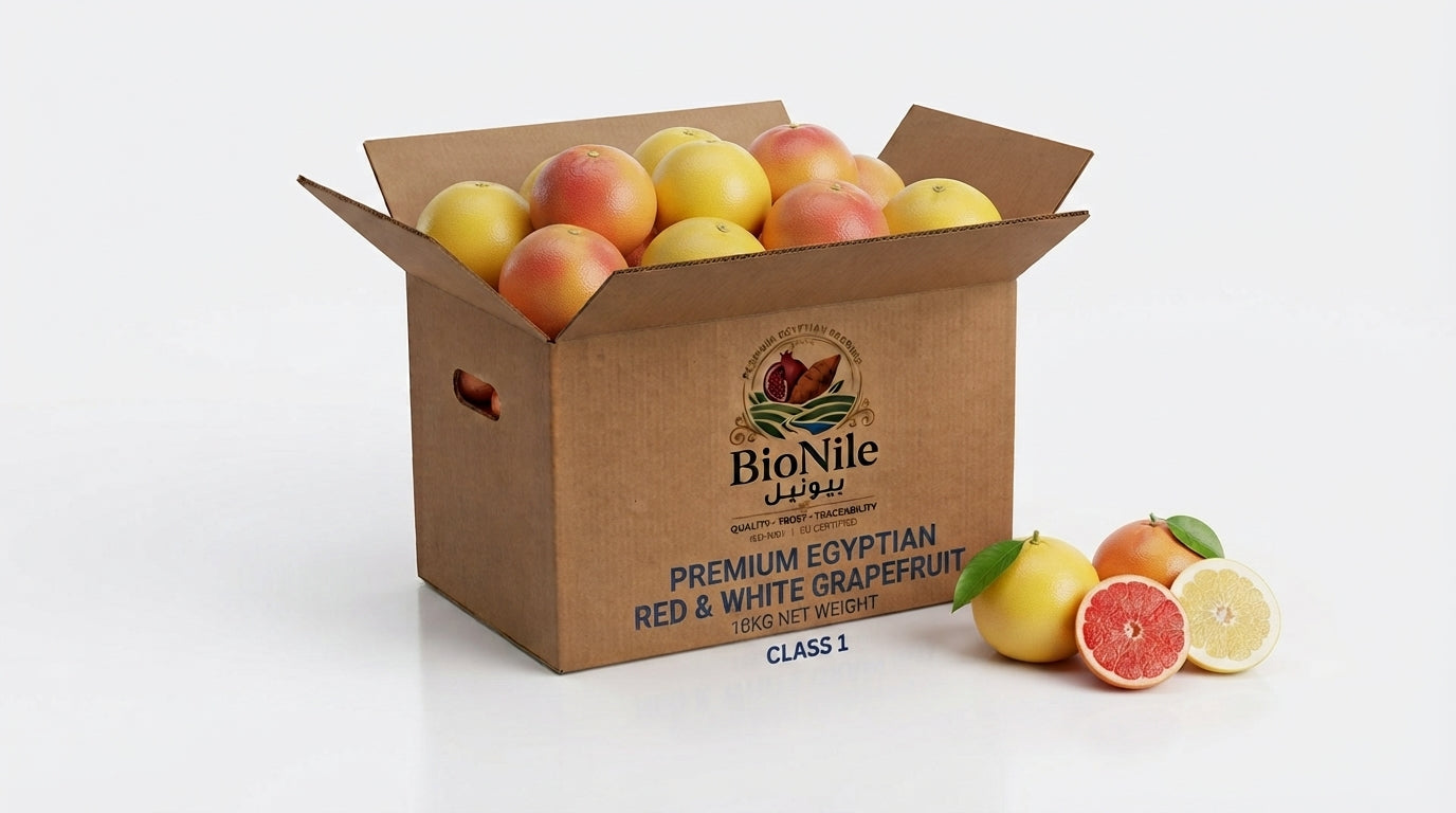 Red & White Grapefruit