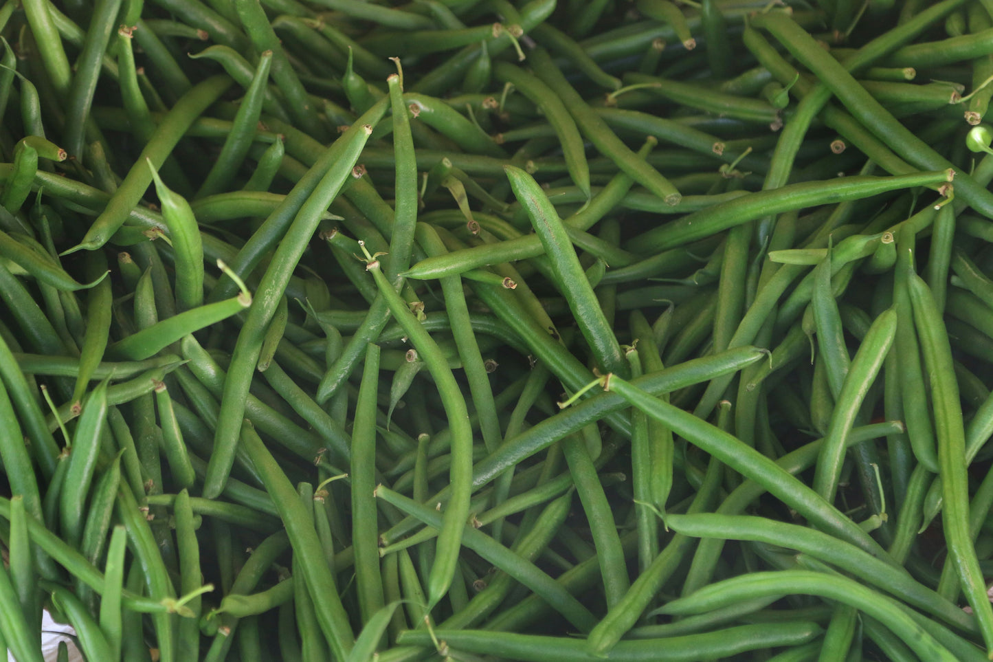 Fine Green Beans