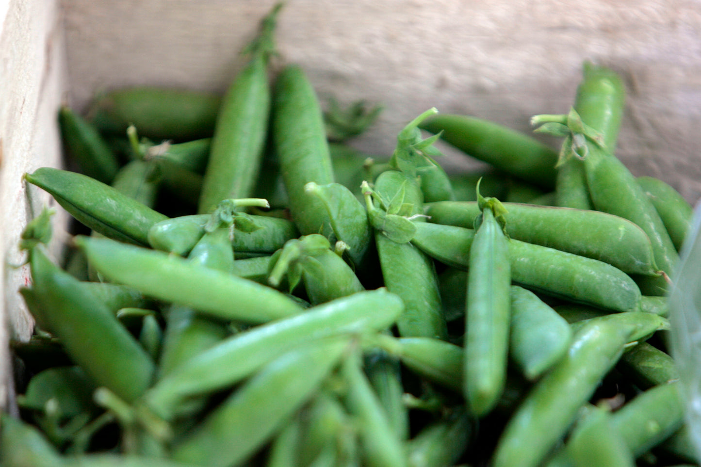 Fine Green Beans
