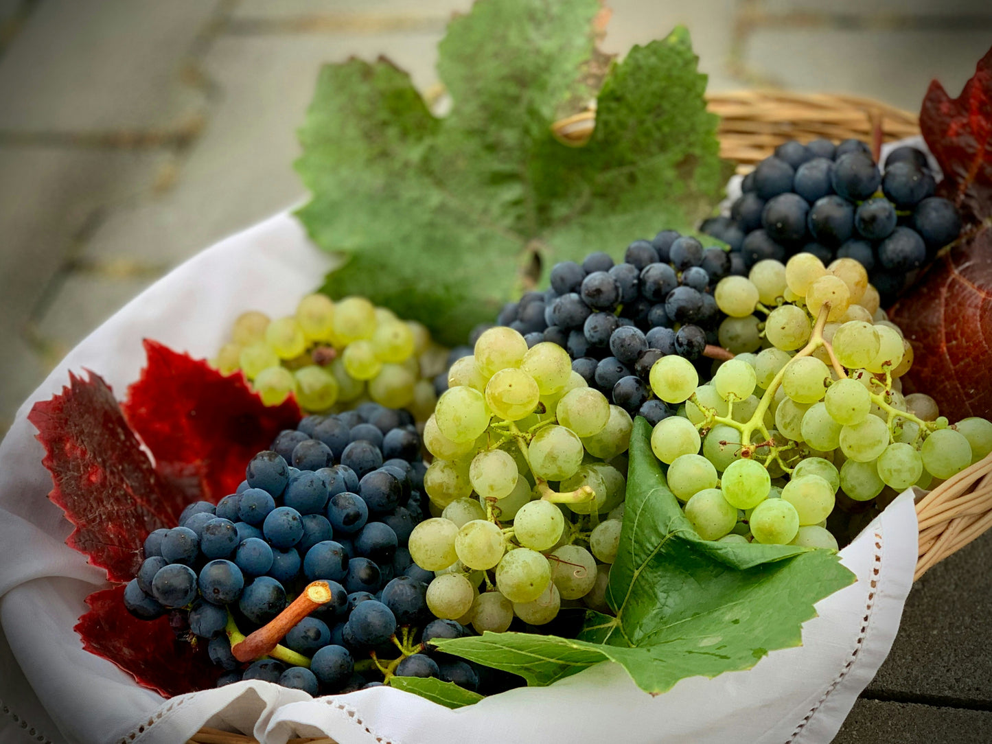 Early Sweet Grapes