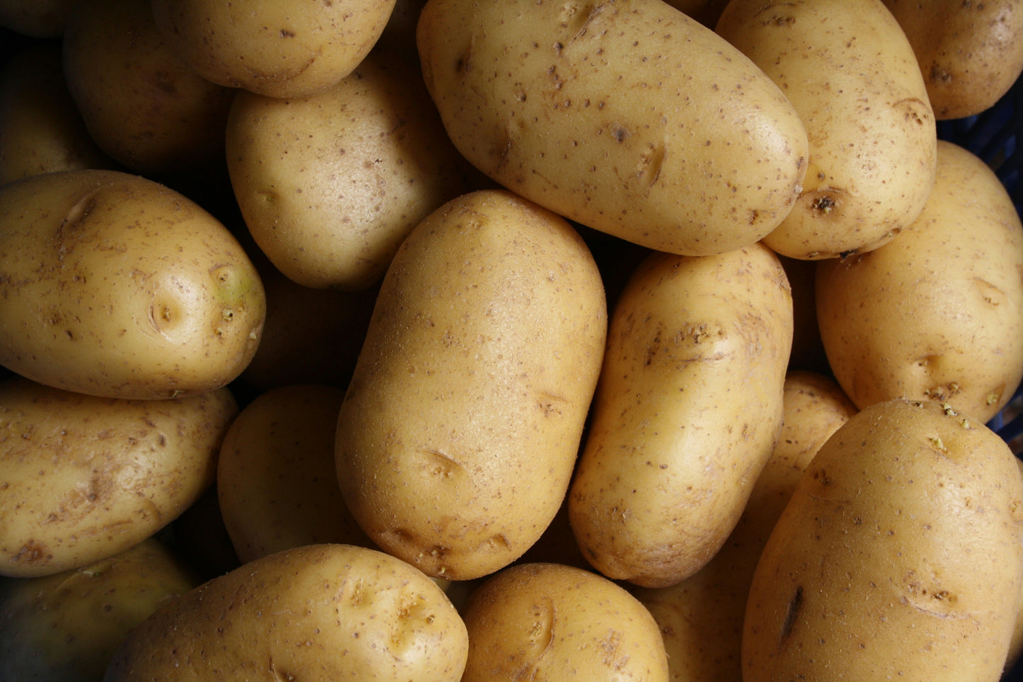 Potatoes (Spunta/Kara/Hermes)