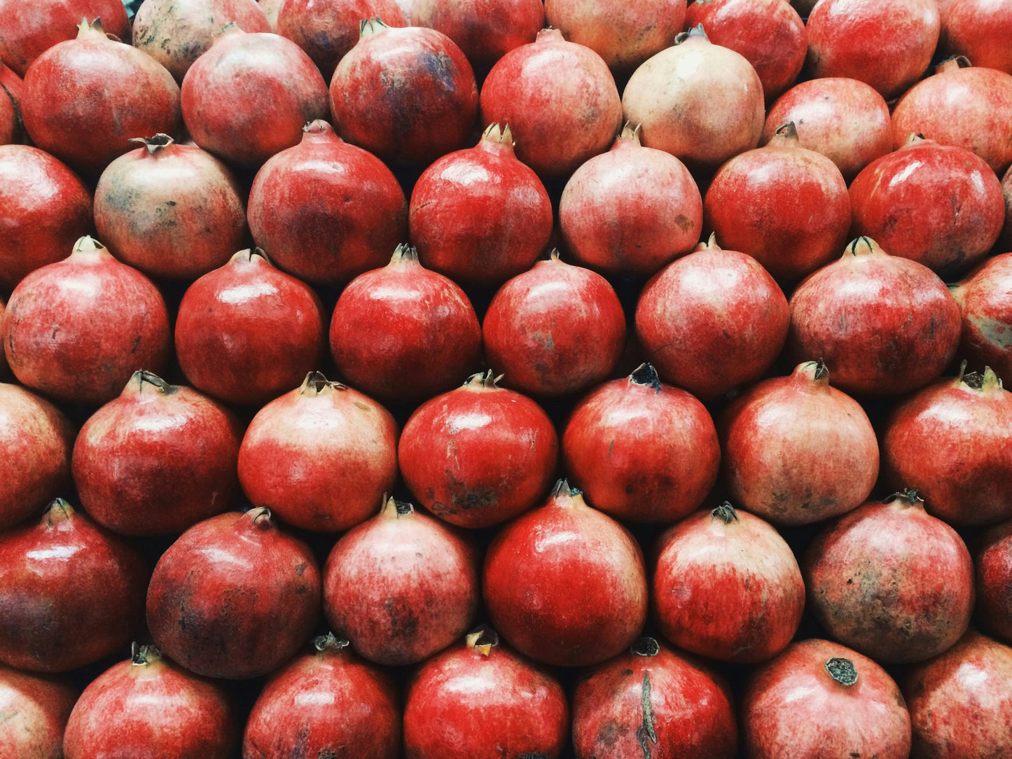 Early 116 / Wonderful Pomegranate